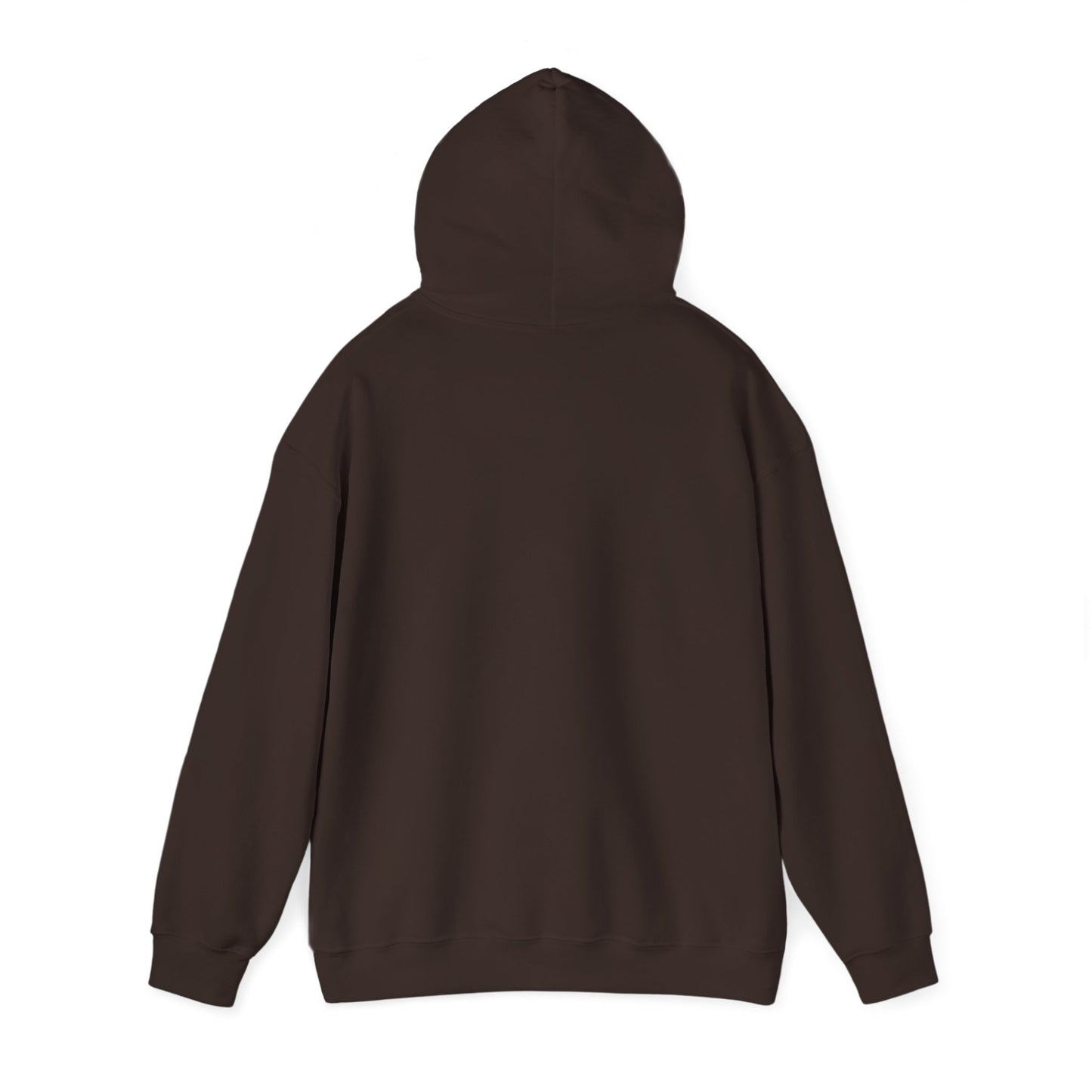 New Year 2026 Graphic Hoodie. Sunrise Celebration Pullover