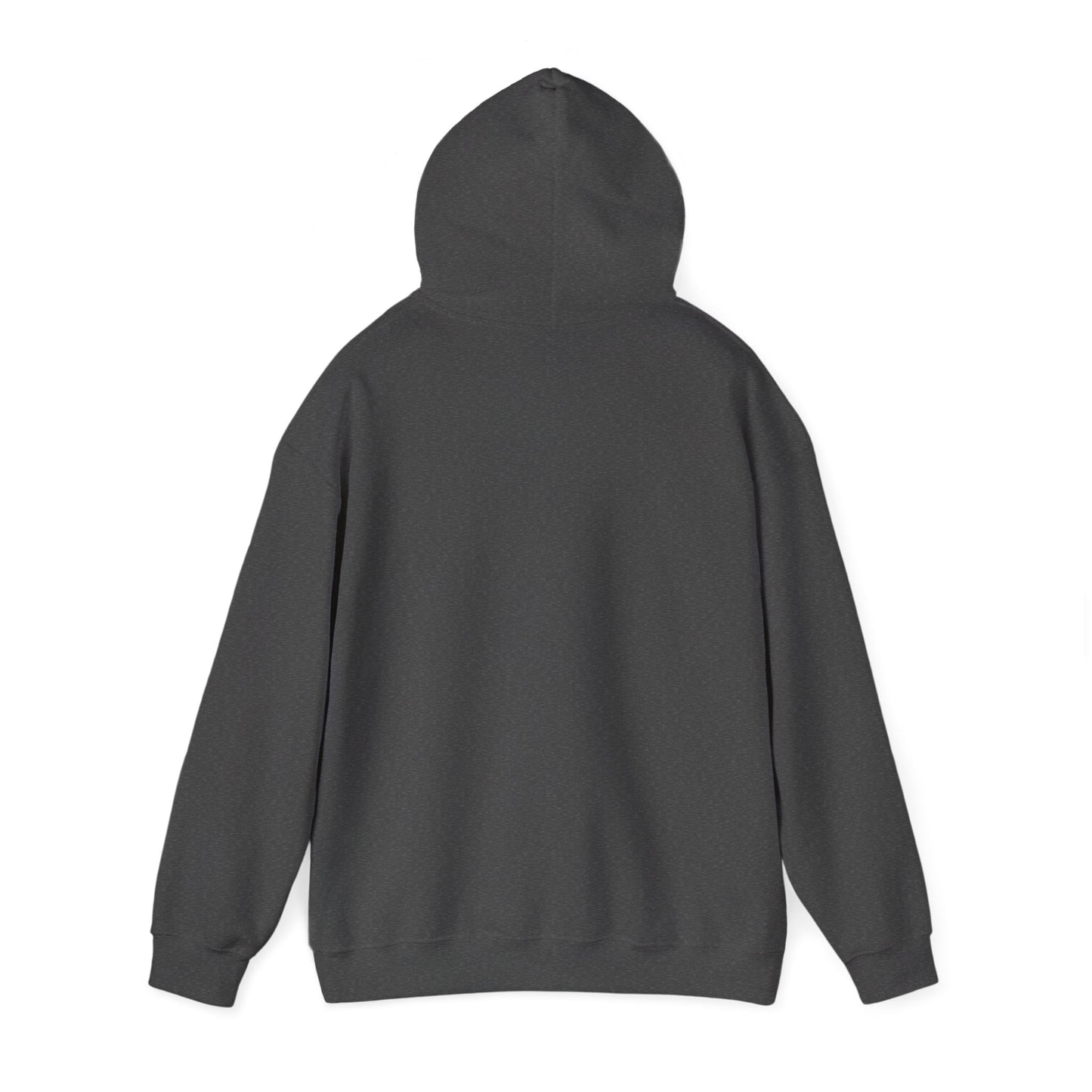New Year 2026 Graphic Hoodie. Sunrise Celebration Pullover